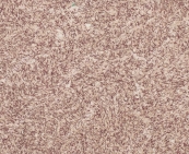 жидкие обои rekoat 3 175